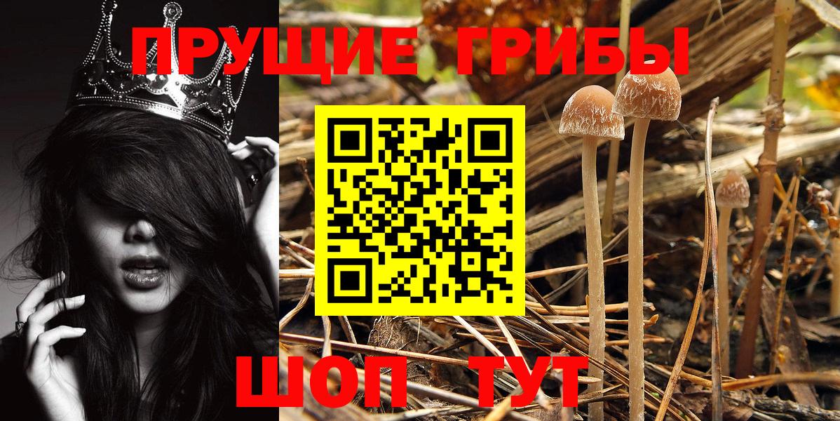 МЕФ кристаллы  Меф  Alpha PVP СК кристаллы  ГАШ  Cocaine  МДМА  Чехов  ГАШИШ  Вход с VPN  Марихуана 