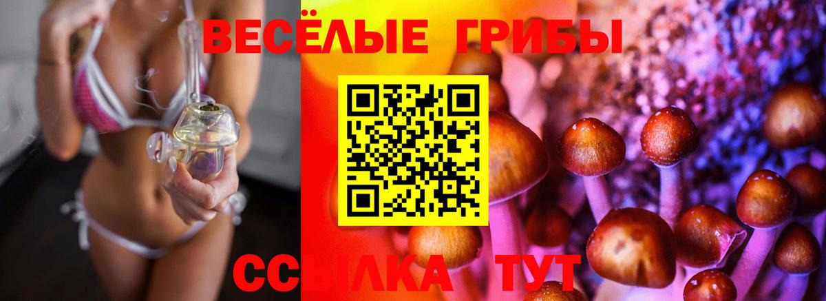 Галлюциногенные грибы Cubensis Чехов