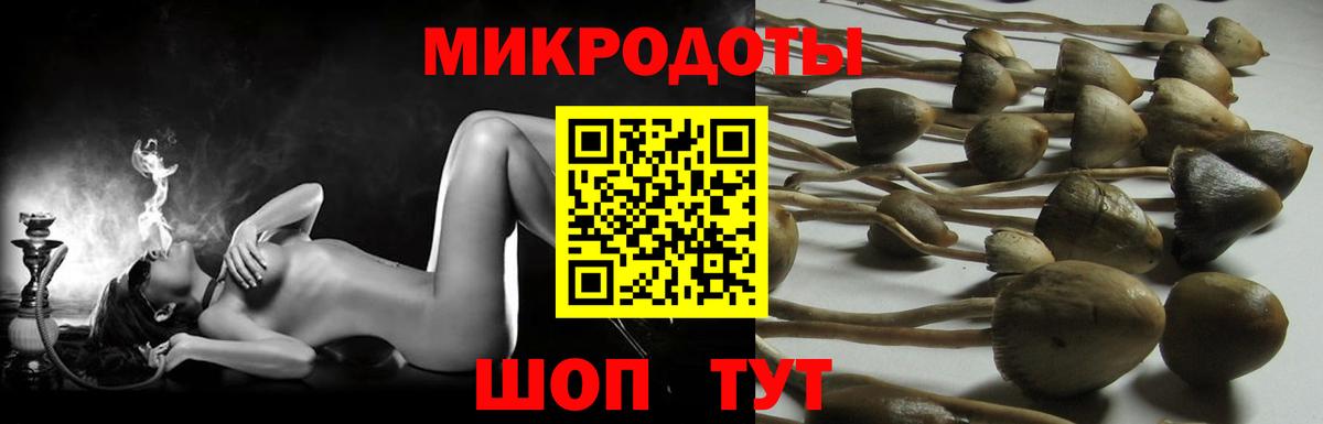 Псилоцибиновые грибы Magic Shrooms  купить наркоту  Чехов  Вход с VPN  Псилоцибиновые грибы Cubensis 